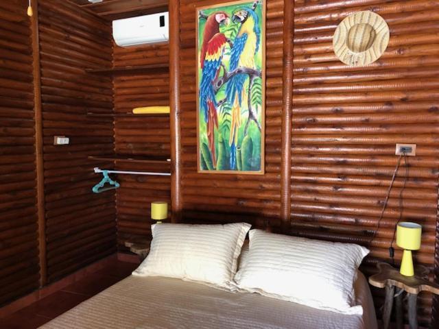 Casa Toucan Mit Privat Pool Near Np Ballena Uvita Ngoại thất bức ảnh