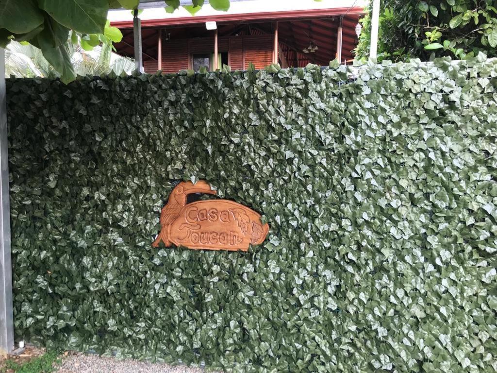 Casa Toucan Mit Privat Pool Near Np Ballena Uvita Ngoại thất bức ảnh