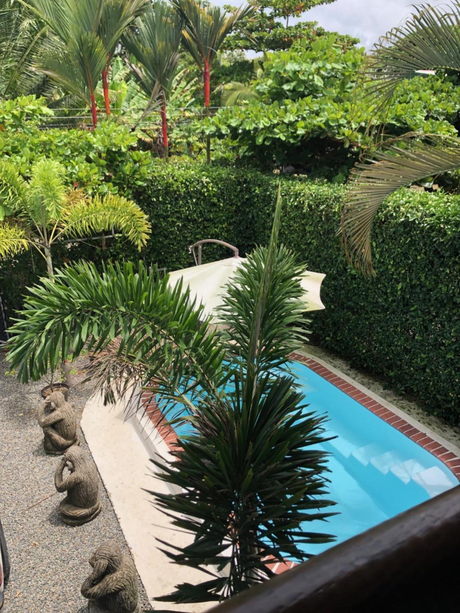 Casa Toucan Mit Privat Pool Near Np Ballena Uvita Ngoại thất bức ảnh