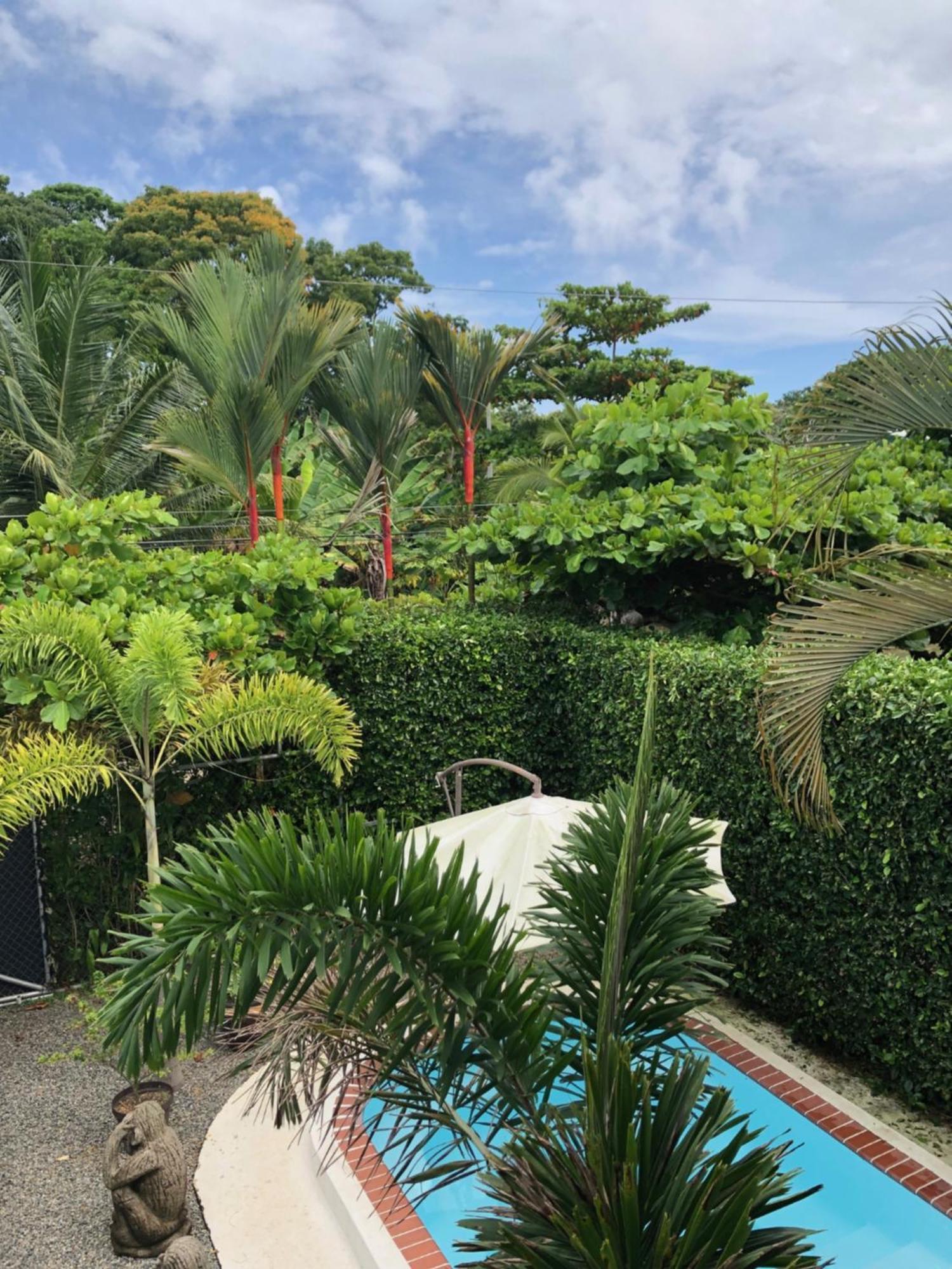 Casa Toucan Mit Privat Pool Near Np Ballena Uvita Ngoại thất bức ảnh